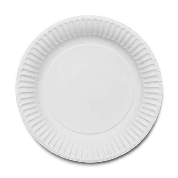 Disposable-Paper-Plate-6--