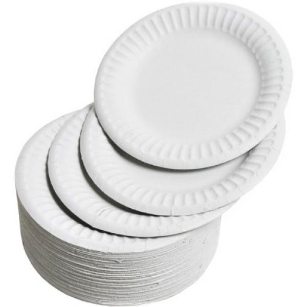 Disposable-Paper-Plates-9--